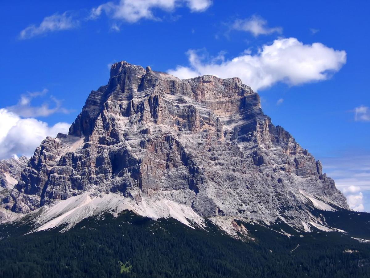 Hotel Belvedere Dolomiti Pieve di Cadore Bagian luar foto