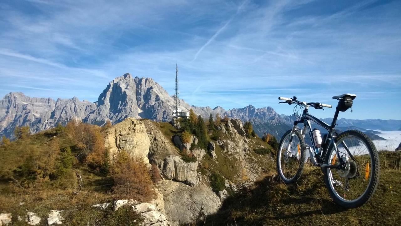 Hotel Belvedere Dolomiti Pieve di Cadore Bagian luar foto